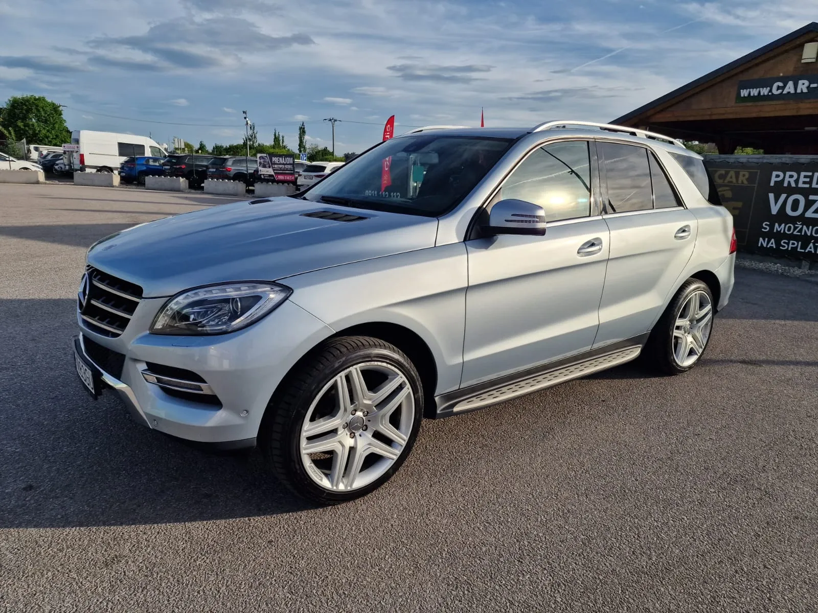 
								Mercedes-Benz ML 250d BLUETEC 4MATIC full									